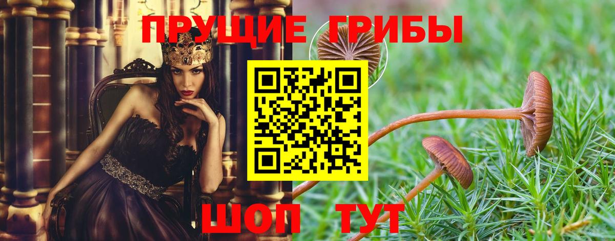Элиста  где продают   Вход с VPN  Псилоцибиновые грибы ЛСД 